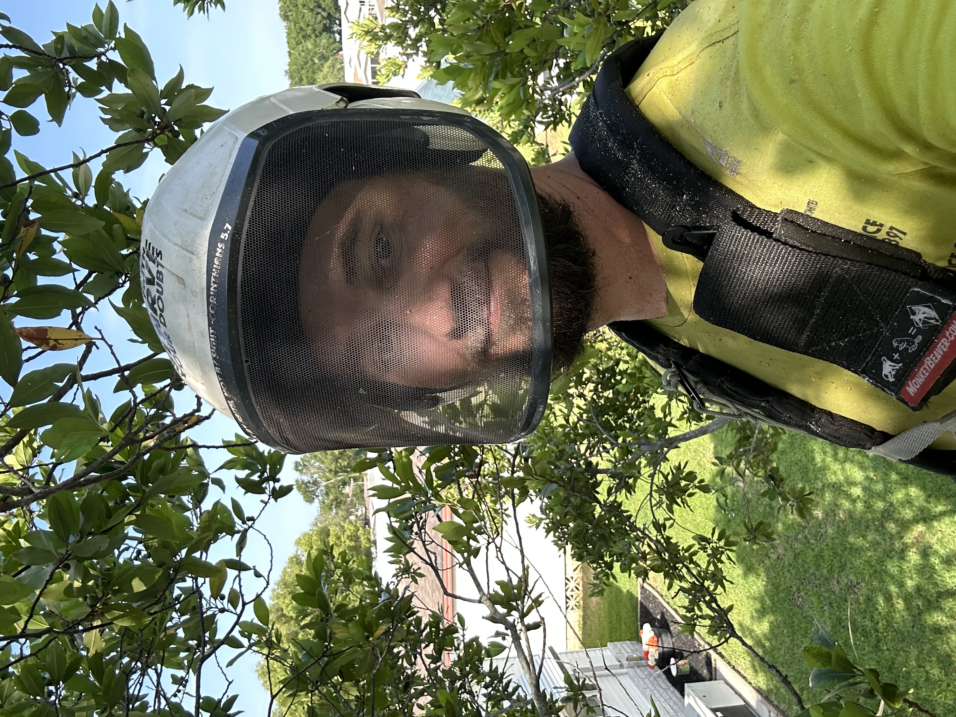 tree care in Lady Lake