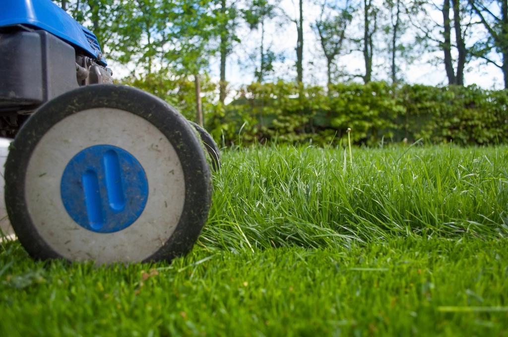 Lawn, Landscaping & Trees in Illinois