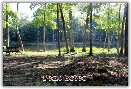 Tent Sites at Davy Crockett Campground