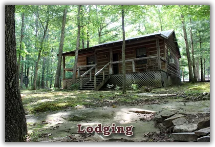 Cabins at Davy Crockett Campground