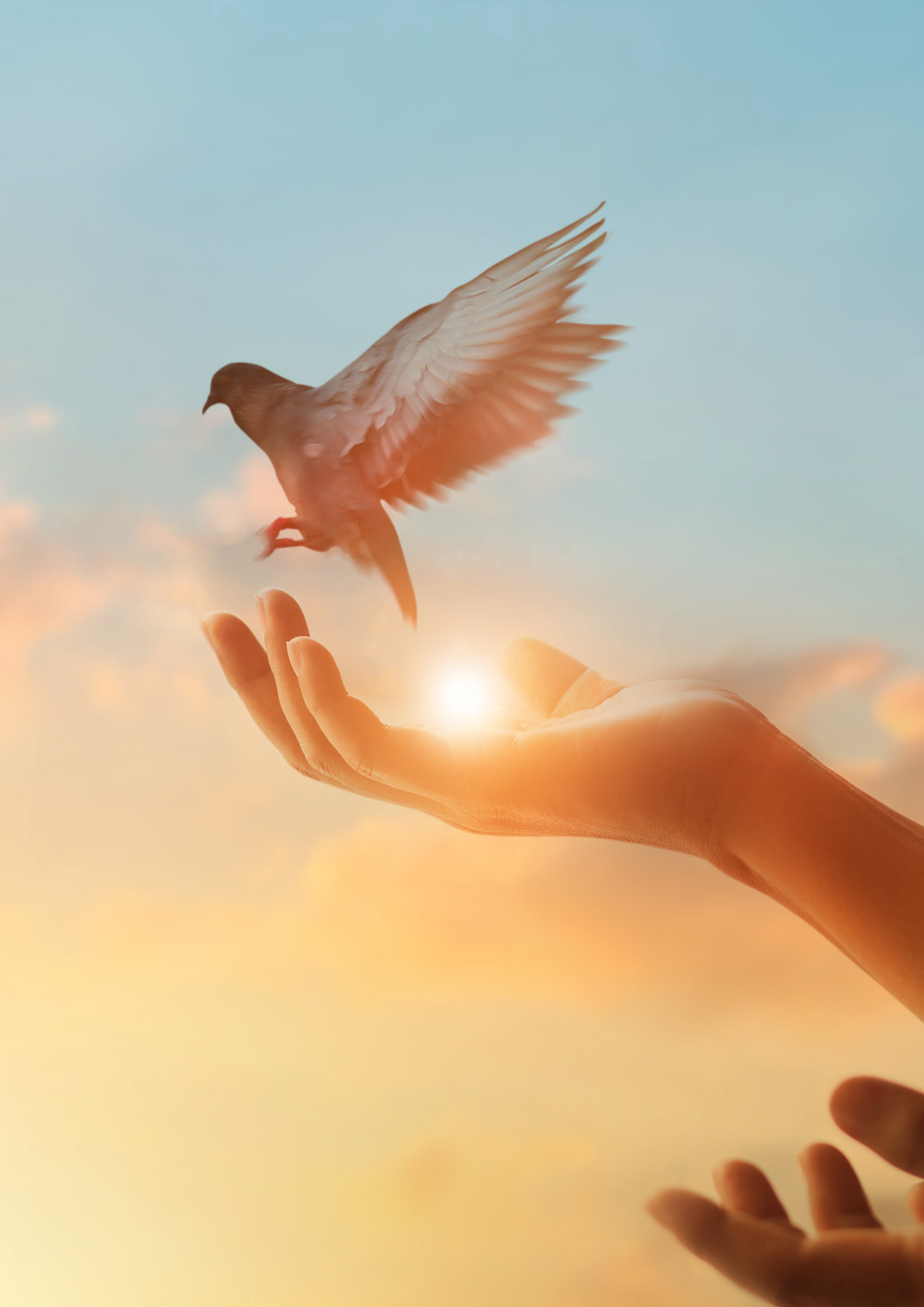 Freiheit und Transformation