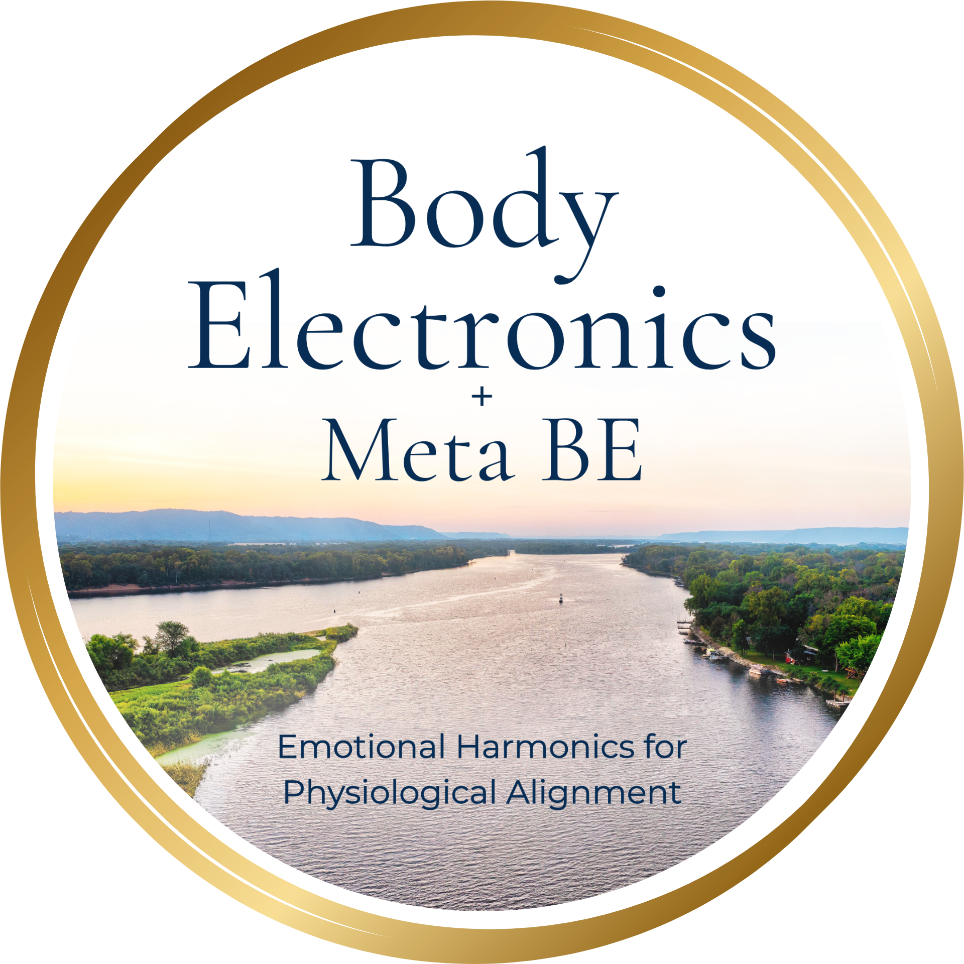 Body Electronics and Meta Body Electronics