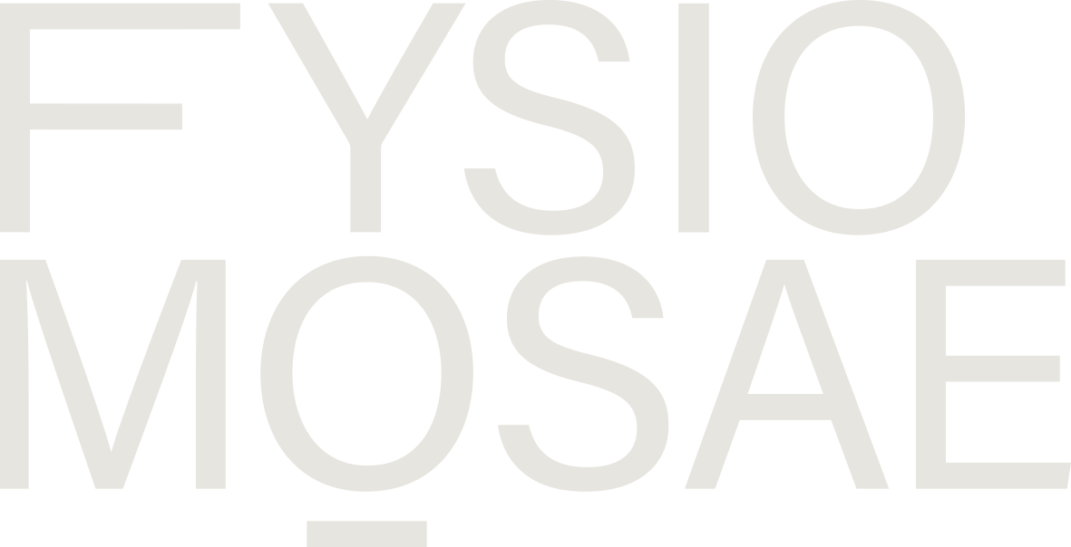 fysiotherapie maastricht, fysiotherapie margraten