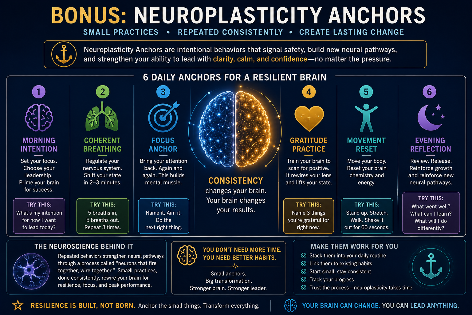 Neuroplasticity Anchors infographic showing daily practices including coherent breathing, gratitude, movement, focus training, and reflection to strengthen resilience and brain performance.