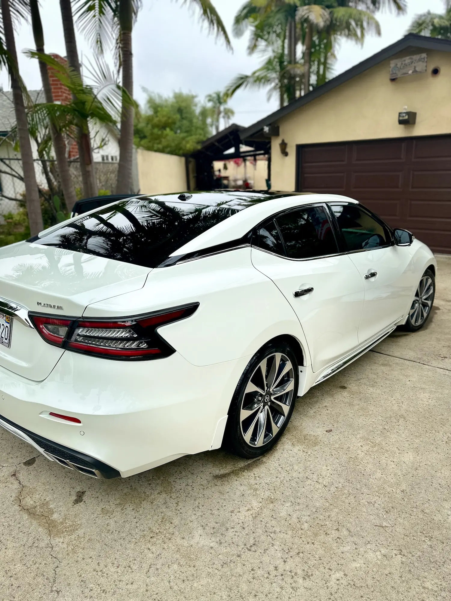 White Nissan Maxima with a glossy finish after exterior detail, parked in a residential driveway surrounded by palm trees in Southern California