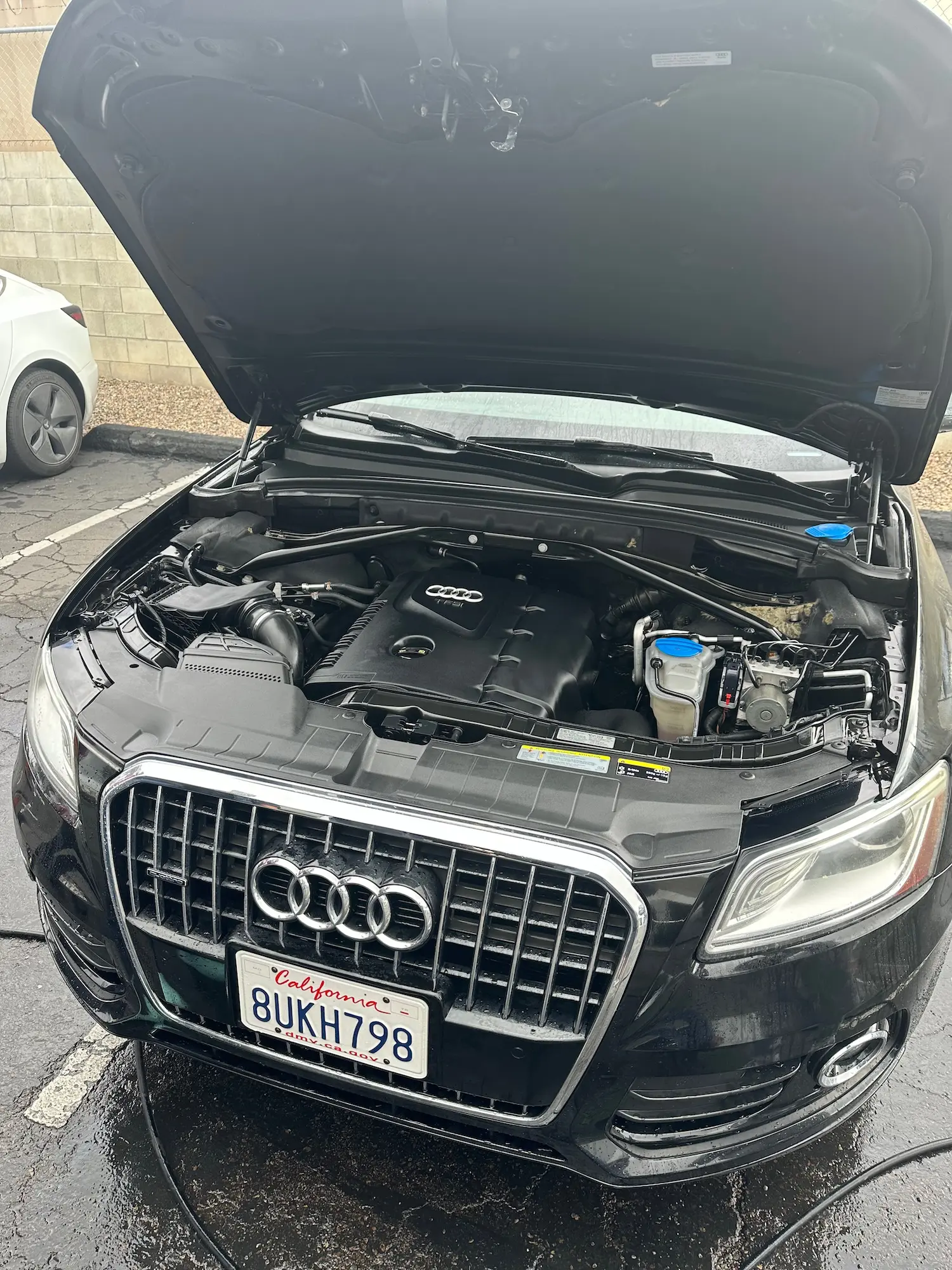 Clean Audi engine bay with hood open after professional engine detailing service.