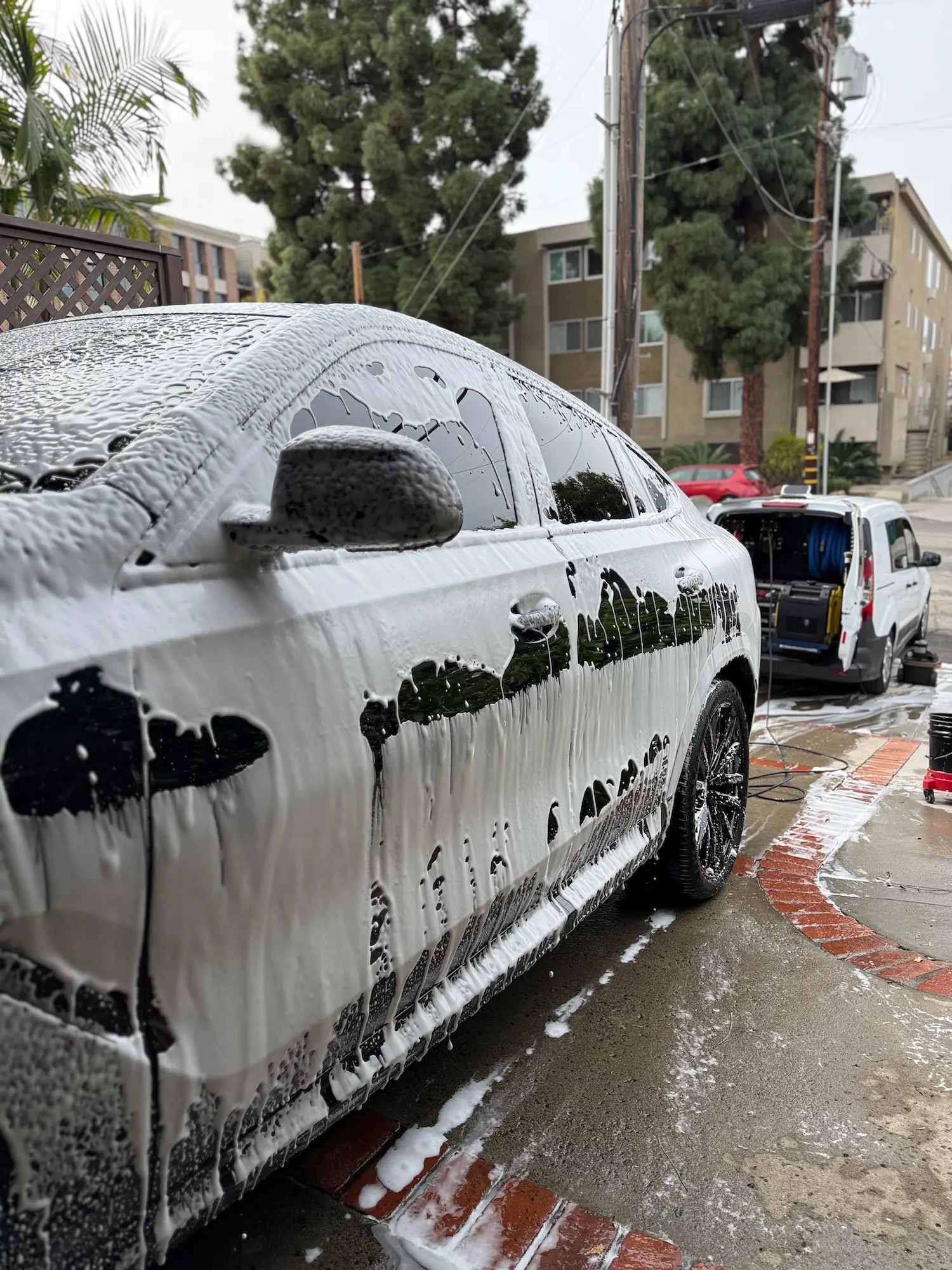 Black car covered in thick white foam during professional hand wash detailing service in a residential driveway.