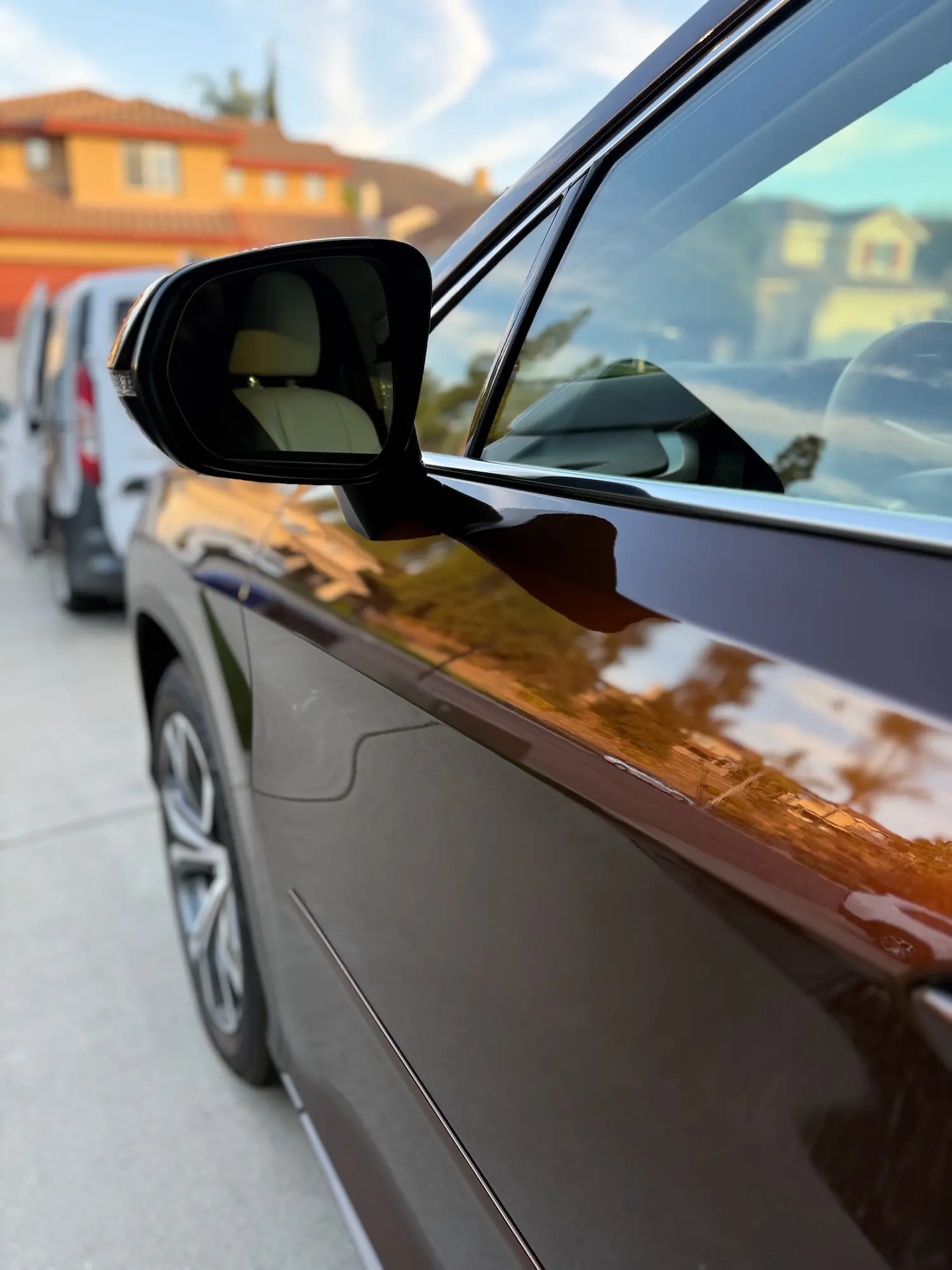 Glossy driver-side mirror and door panel reflecting surroundings after premium car detailing.