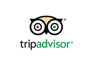tripadvisor brand logo