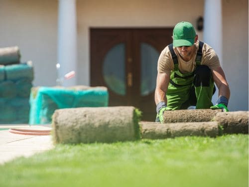 Sod Installation in Ottawa