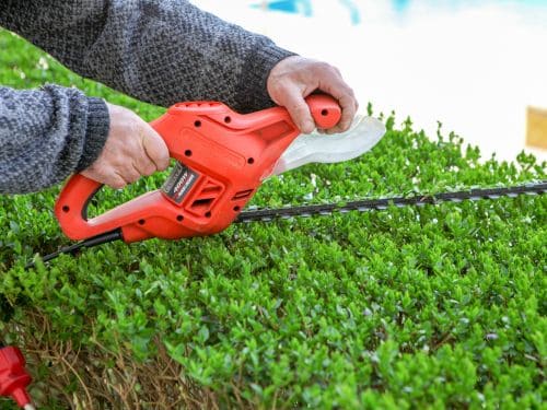 Hedge Trimming in Ottawa