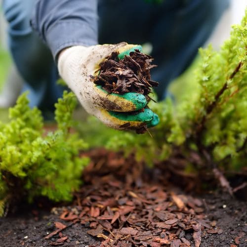 Ottawa Garden Bed Mulching