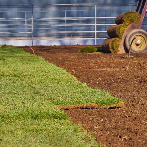Salting/De-icing Ottawa