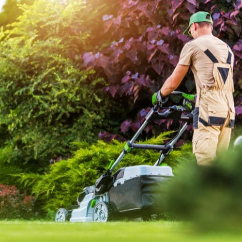 Stittsville Lawn Mowing & Trimming