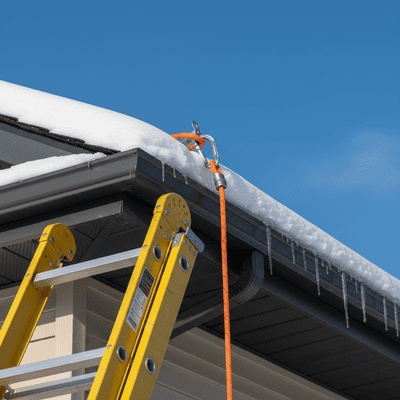 Hedge Trimming Ottawa