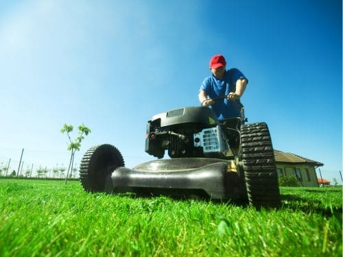 Lawn Mowing & Trimming in Ottawa