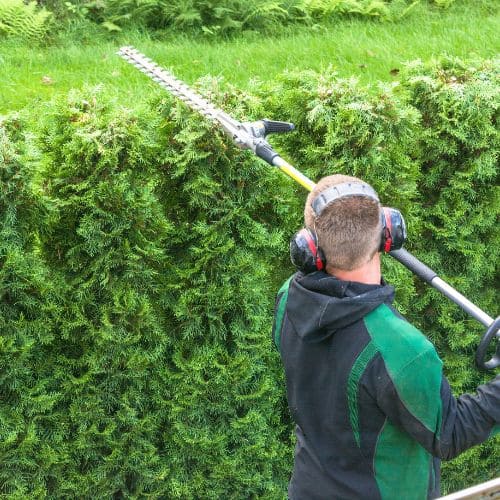 Ottawa Hedge Trimming