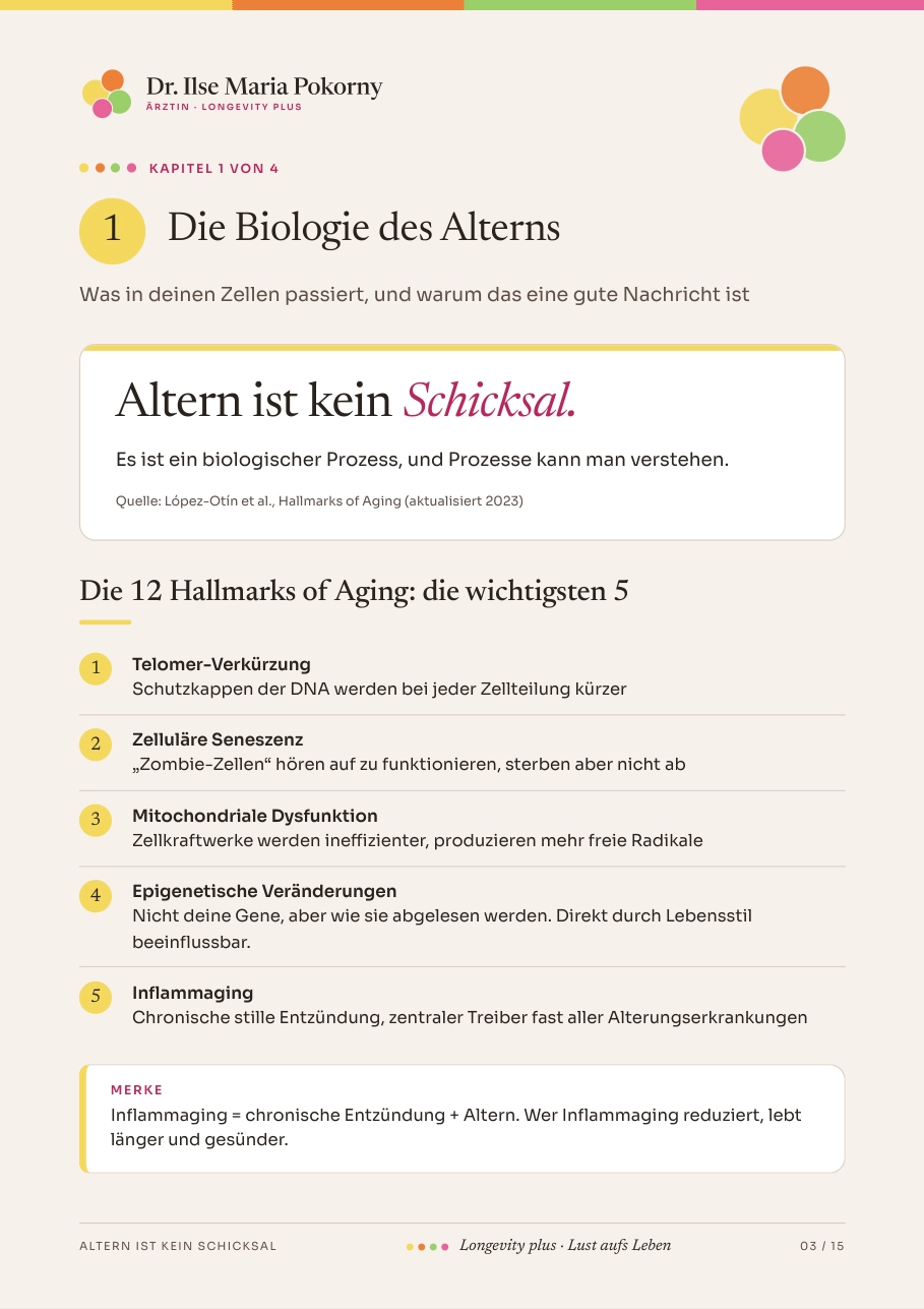 Seite aus dem Heft „Altern ist kein Schicksal“, Kapitel 1 Hallmarks of Aging