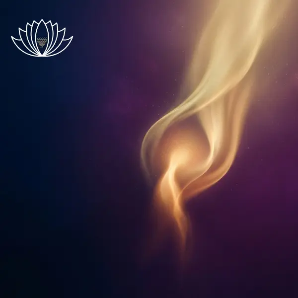 نور على نور ماستر كلاس مهنّد مزيّك