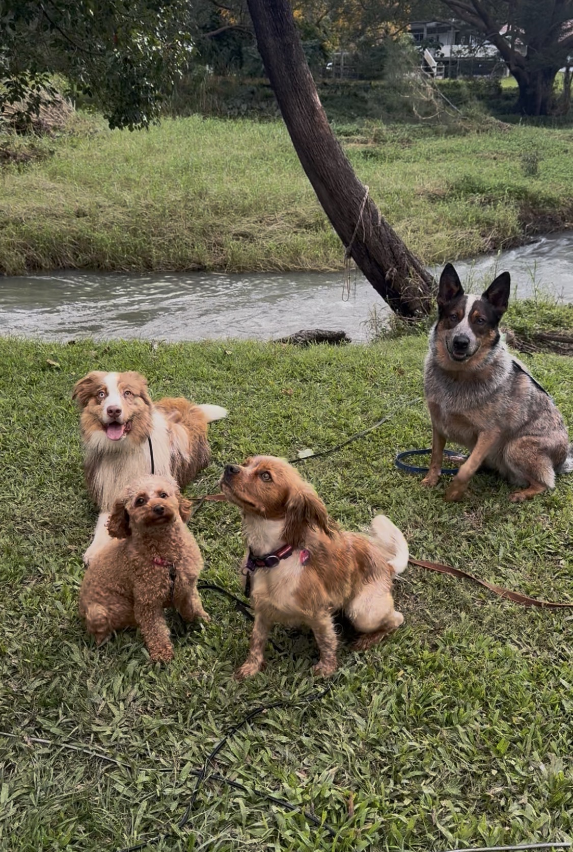 Creek and trail adventure session