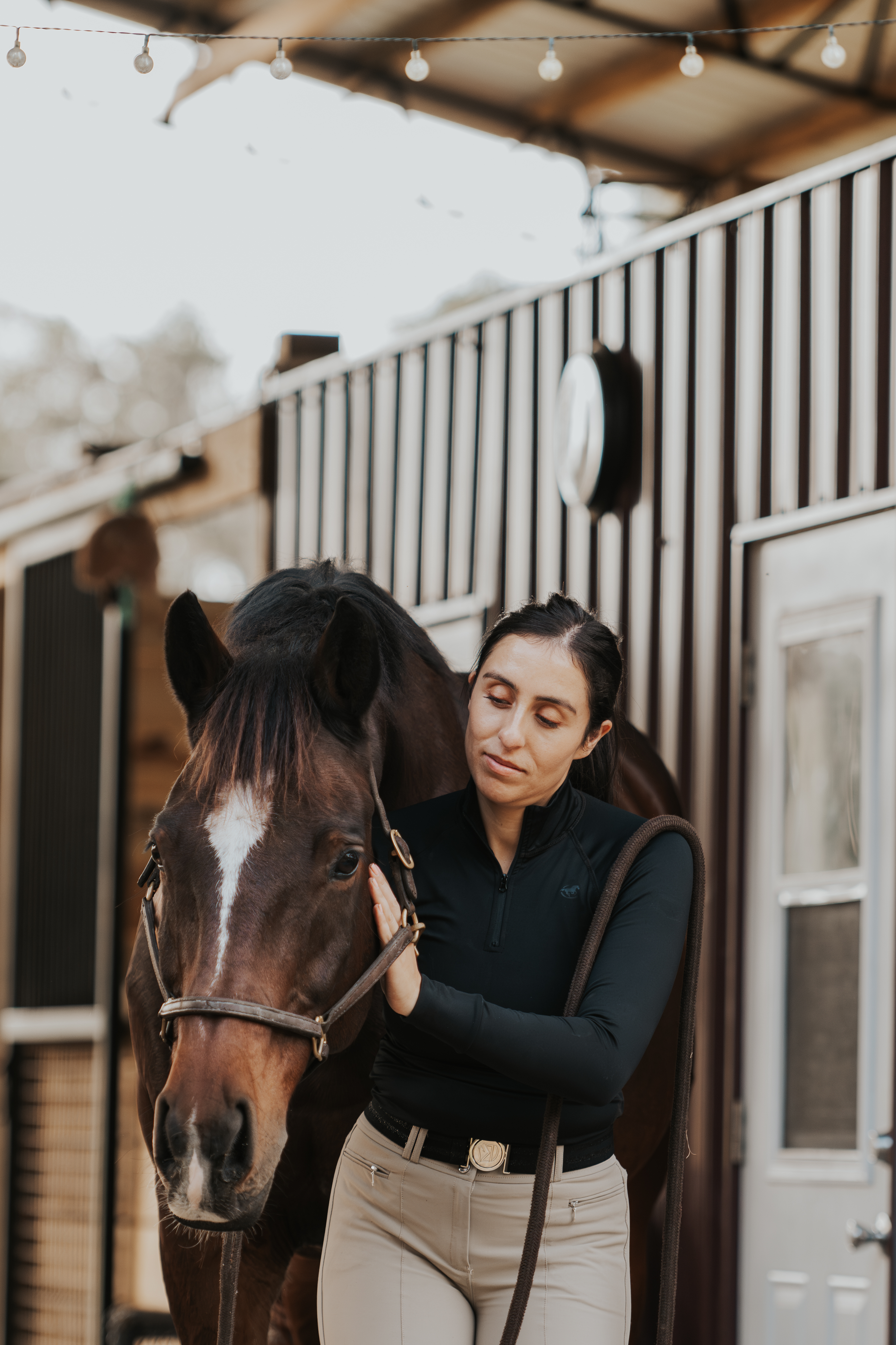 Does Massage Actually Relax horses? 