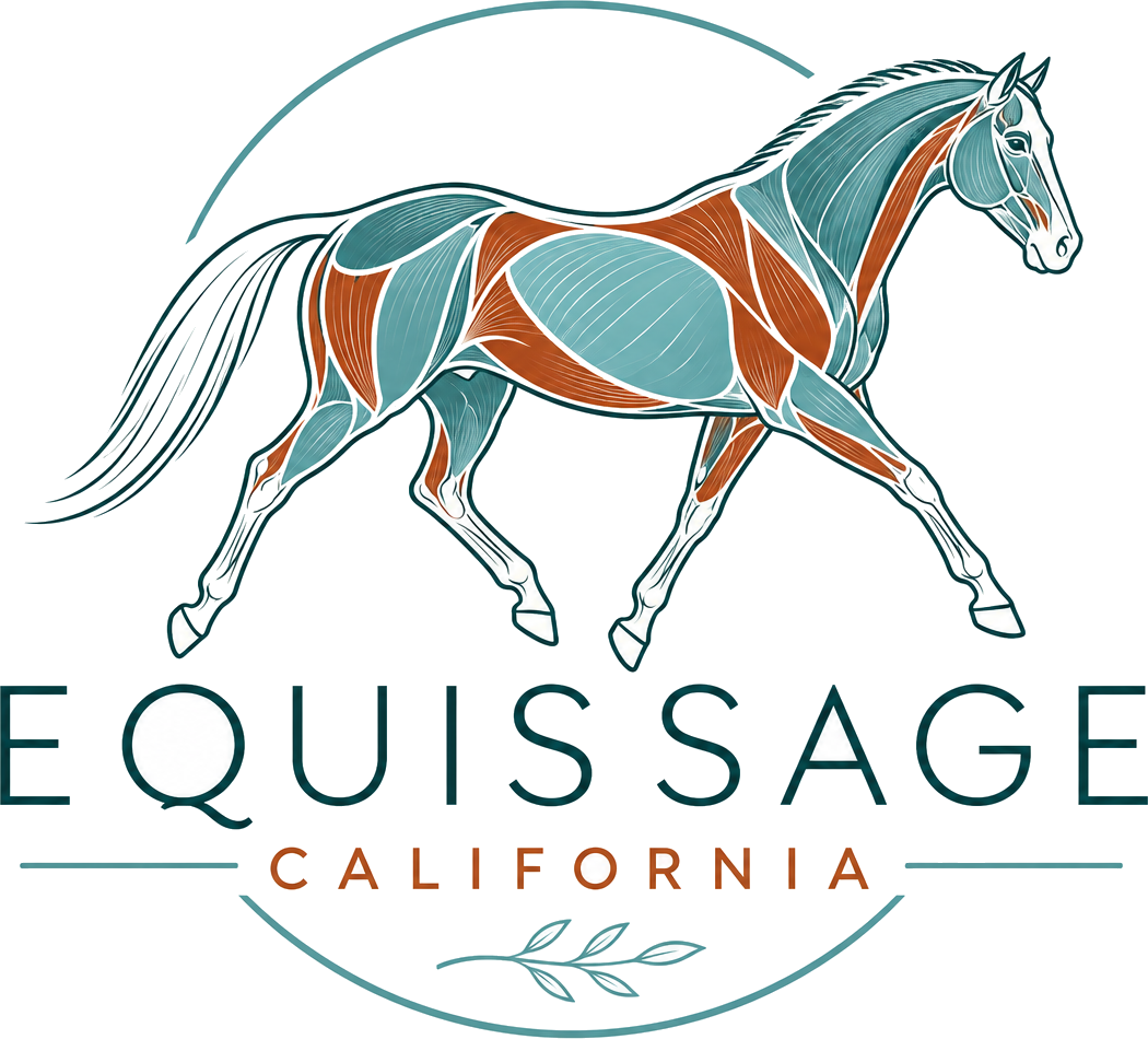 Equissage California