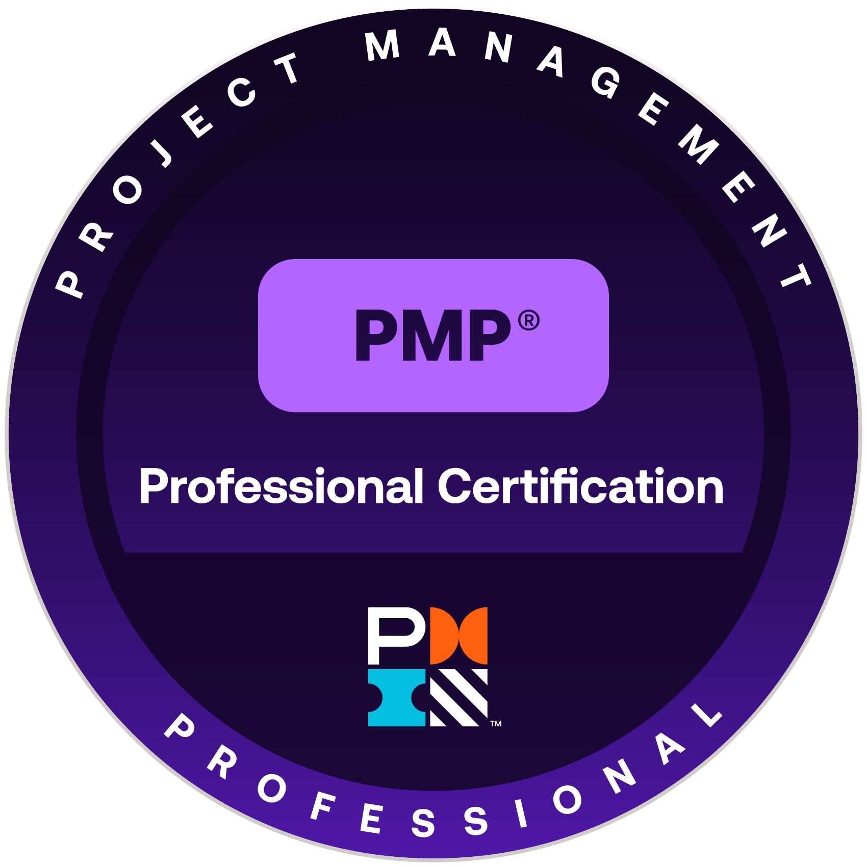 PROJECT MANAGEMENT PROFESSIONAL