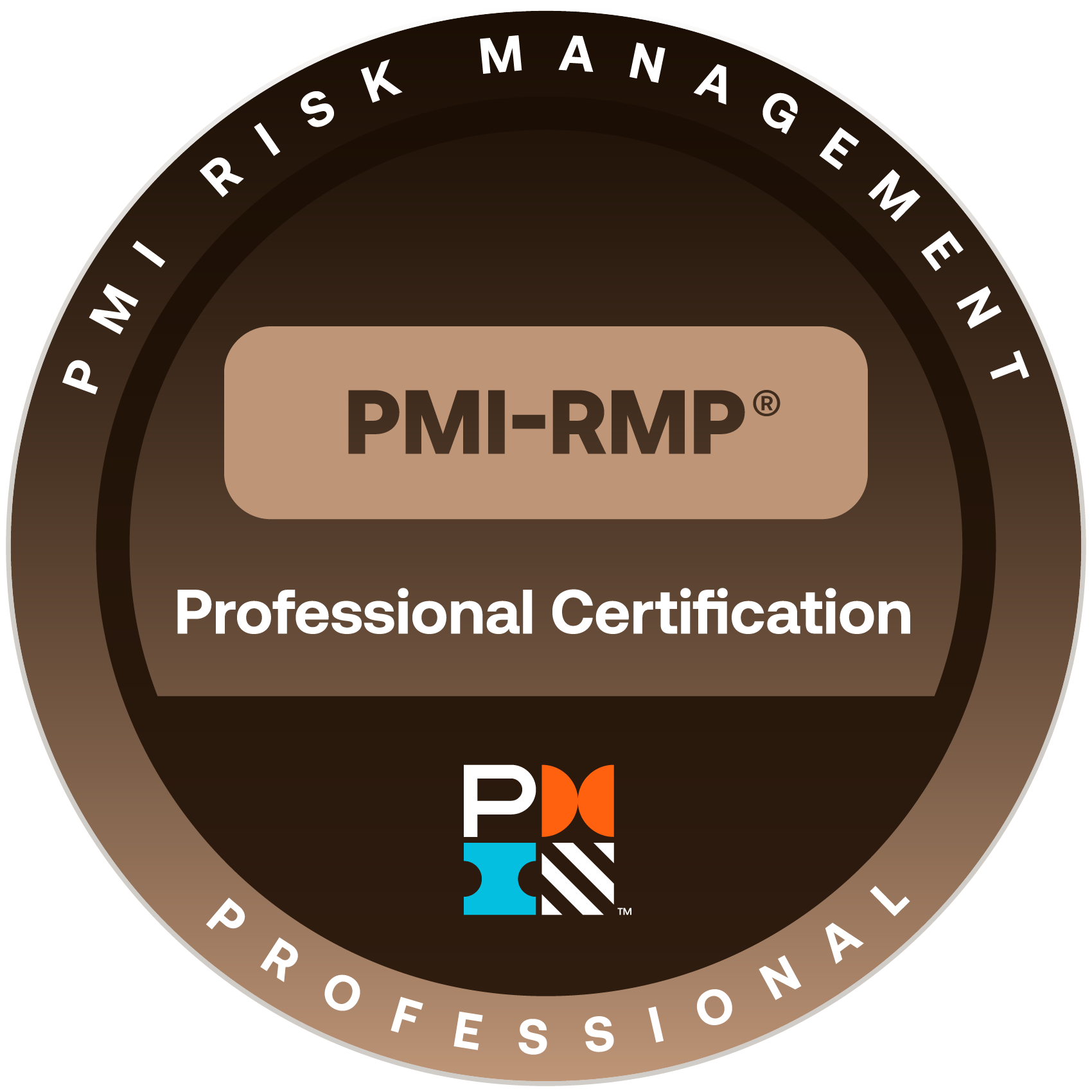 PMI RISK MANAGEMENT PROFESSIONAL