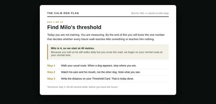 Day 1 of the plan, built for Milo, a 4 year old reactive to other dogs