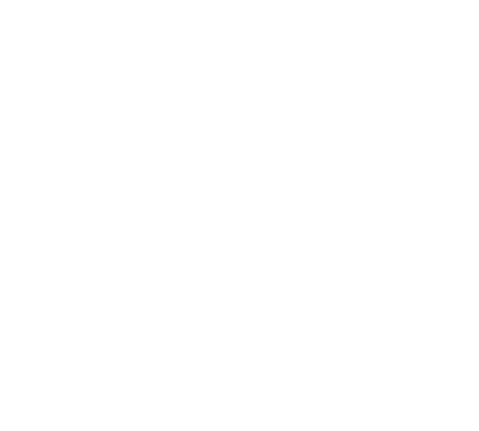 AREAA Greater Seattle logo