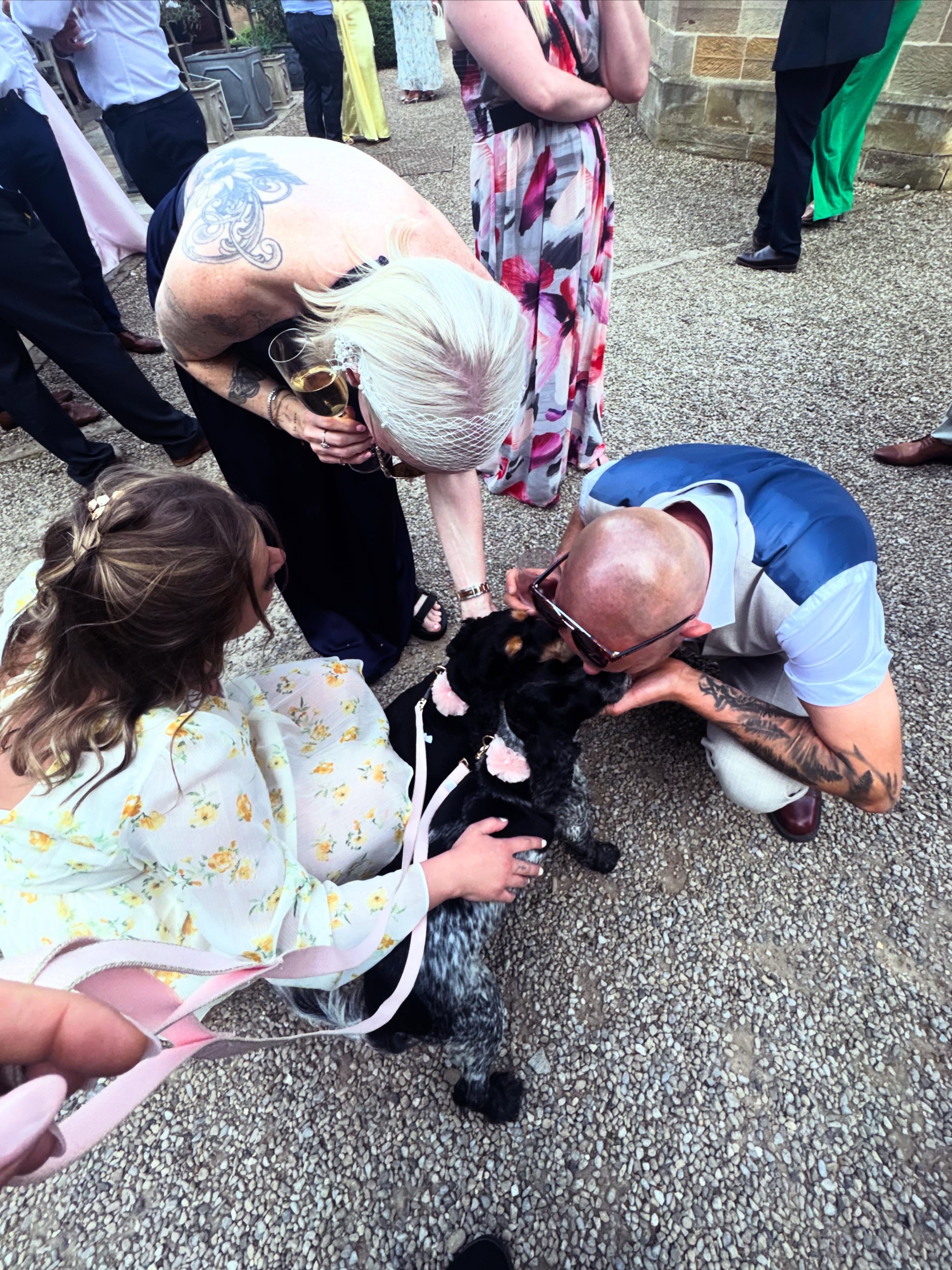 Pet Event Chaperoning