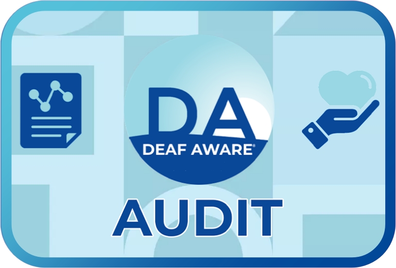 Deaf Aware Audit