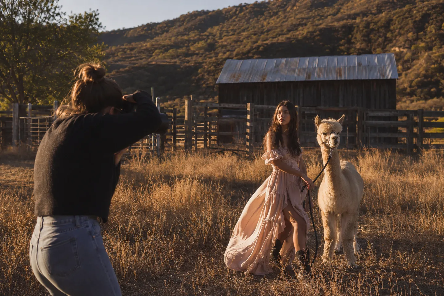 Editorial photoshoot at Honey Lake alpaca ranch, Northern California
