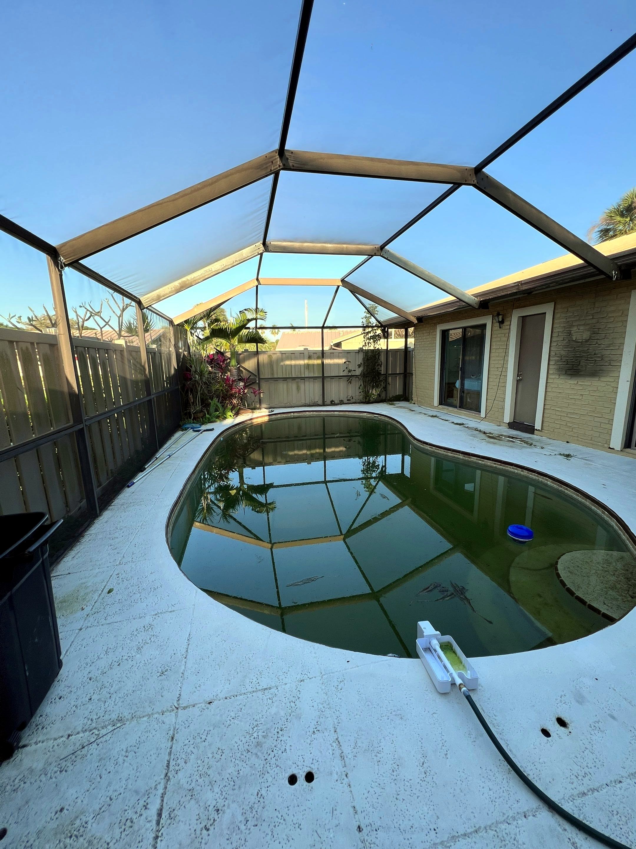 Before: green pool under a worn screen enclosure