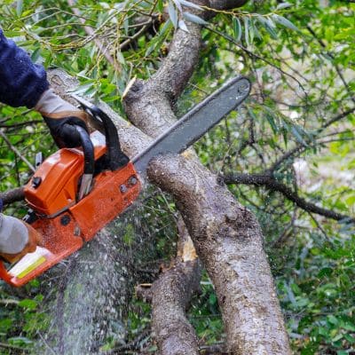 landscaping in York, PA