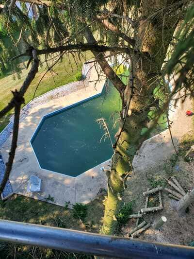 Stump Grinding in Red Lion, PA