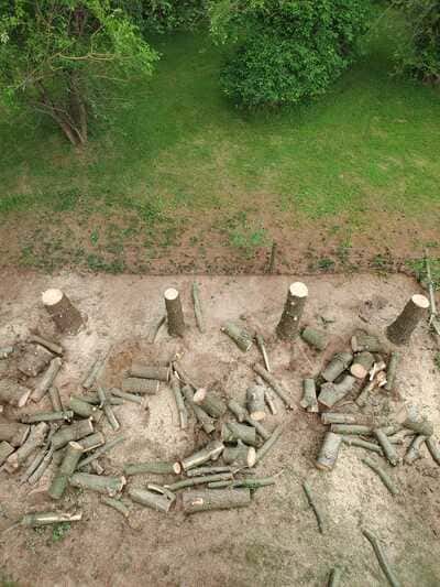 Tree Trimming in York, PA