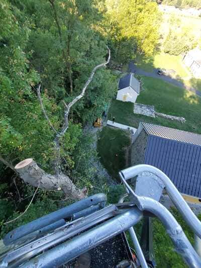 {{ custom_values.service_3 }} in {{custom_values.area_3})