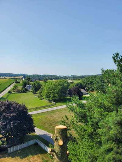 {{ custom_values.service_2 }} in {{custom_values.area_3})