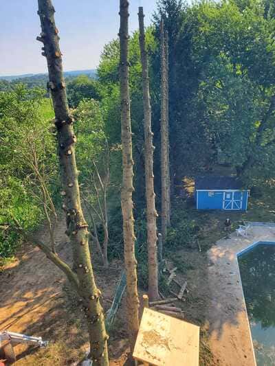 Tree Trimming in Red Lion, PA