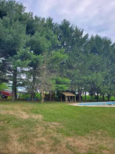 Land Clearing in Red Lion, PA