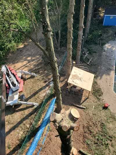 Landscape Design in York, PA