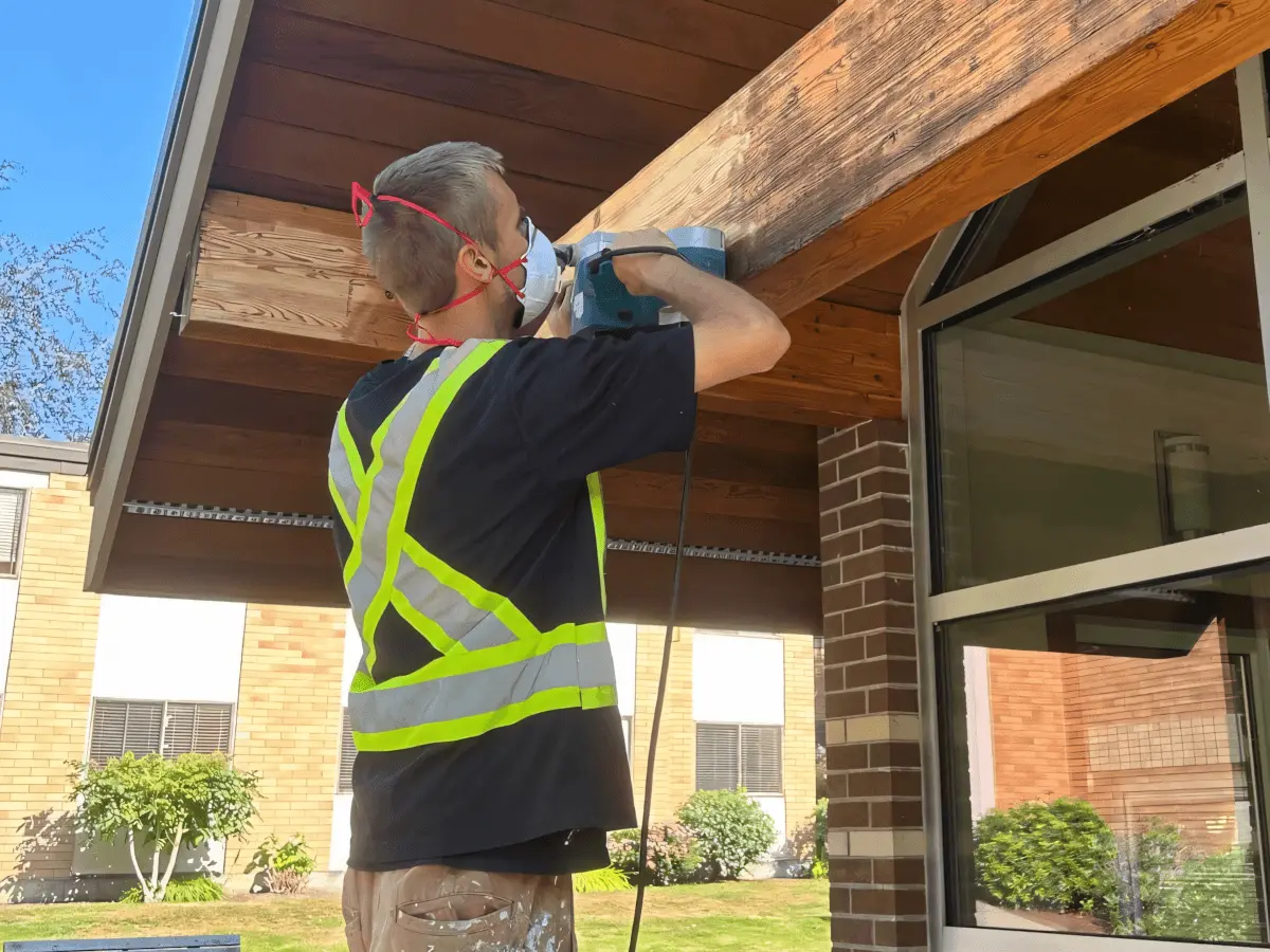 Timber pavilion staining