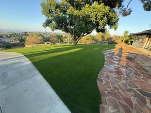 {{ custom_values.service_3 }} in {{custom_values.area_3})