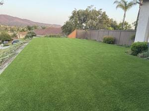 {{ custom_values.service_3 }} in {{custom_values.area_3})