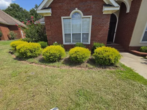 Clean cut edge between lawn and a freshly turned shrub bed with chartreuse rounded shrubs beside a brick home