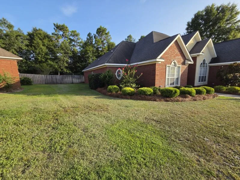 Mowed green lawn and a curved pine straw mulch bed with rows of rounded shrubs along a red brick two-story home