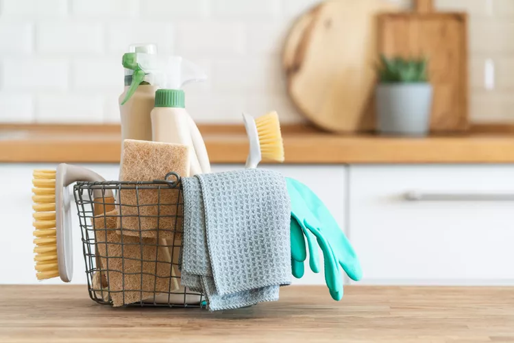 Professional Cleaning Services in Bozeman,MT