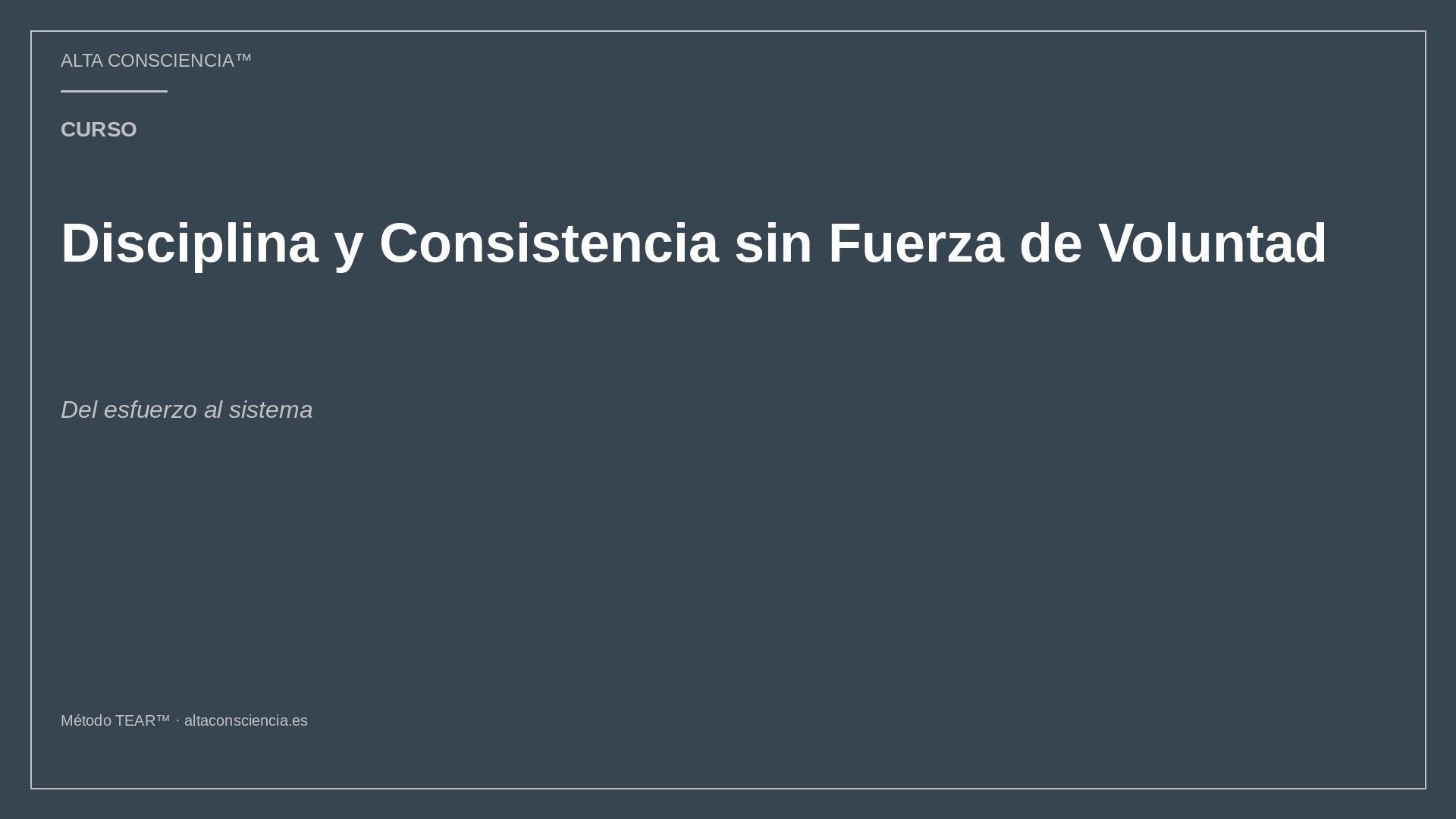 Disciplina y Consistencia