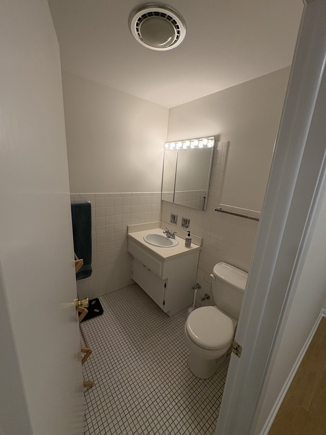 Hall bathroom before remodel